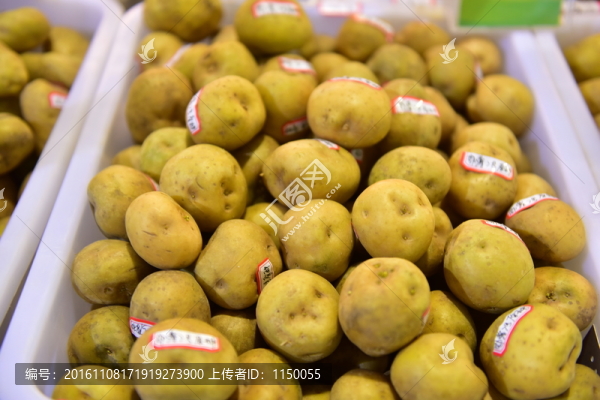 土豆