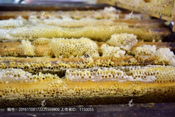 蜂蜜