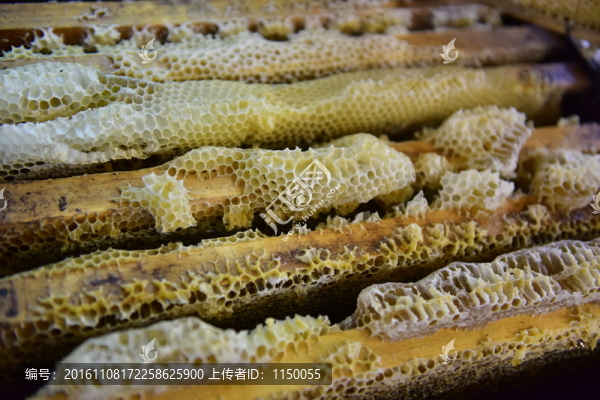 蜂蜜美食