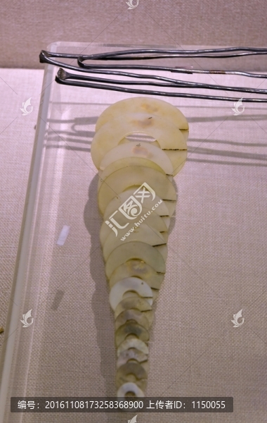 玉玦