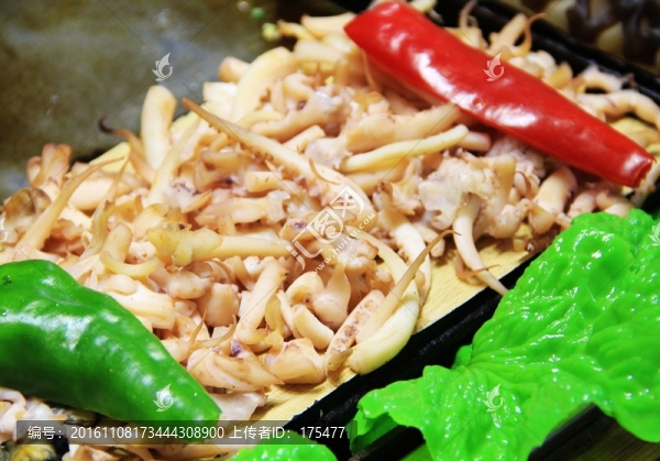 魷魚(yú)