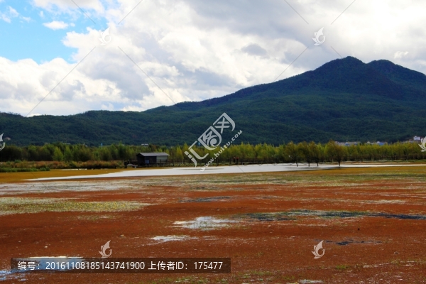 拉市海濕地公園