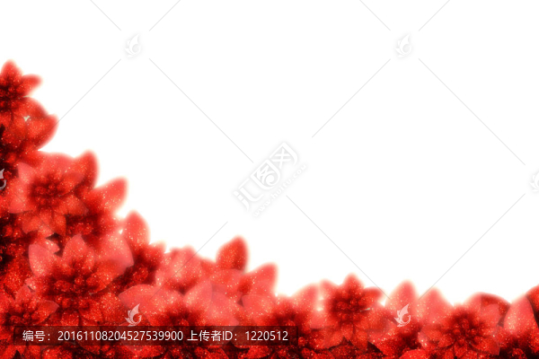 白色圣誕節(jié)；鮮艷的一品紅