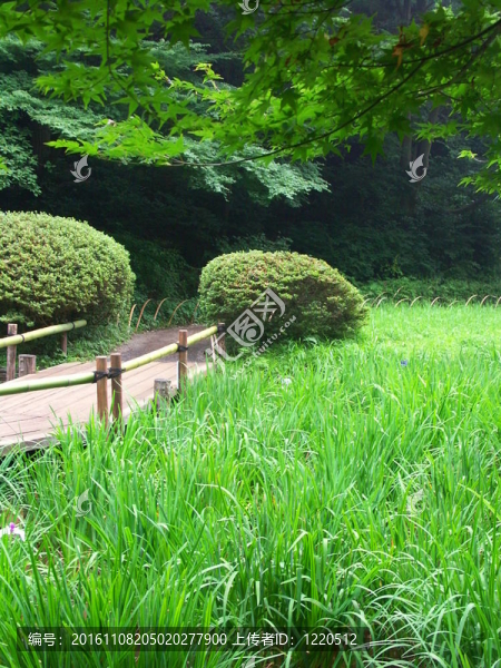 東京花園