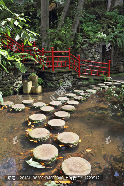 在池塘的軌道；與樹樁
