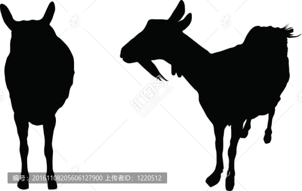 兩個(gè)剪影的母山羊