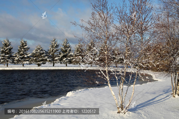 在一個(gè)小湖上的陽(yáng)光明媚的早晨