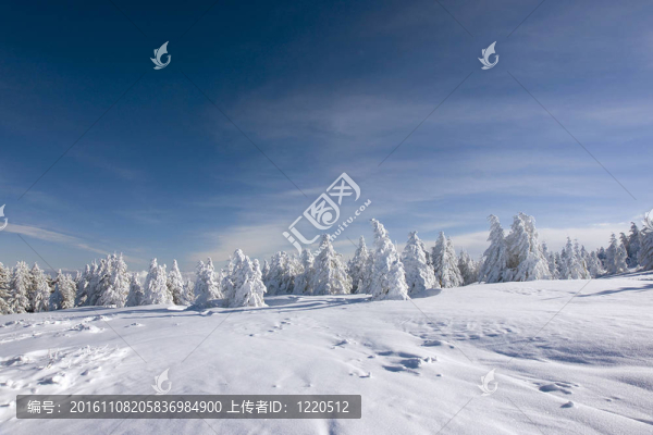山景