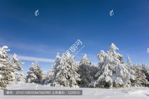 冬天的山景