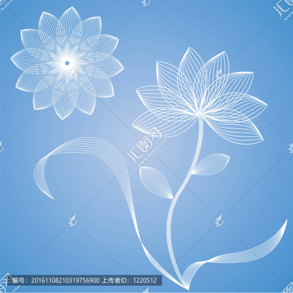 摘要花