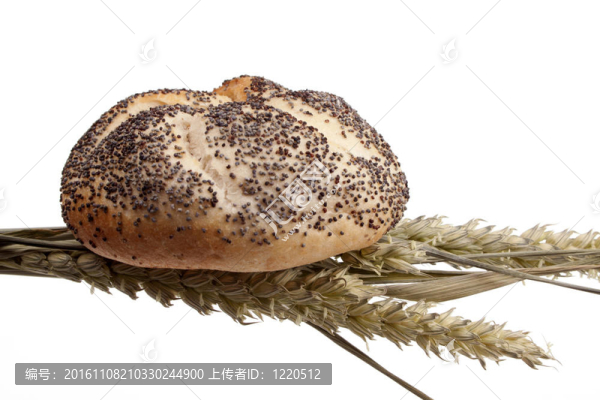 面包和小麥