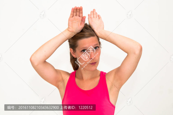 我是一只兔子