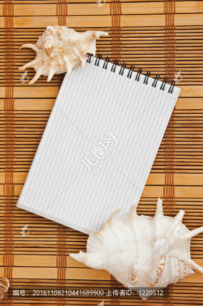 海貝殼框架