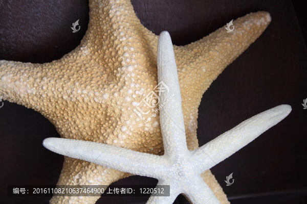 星星