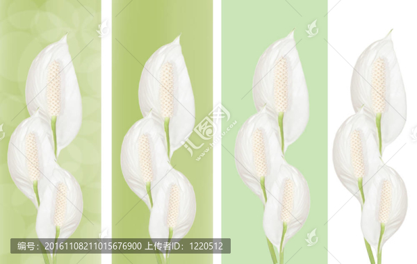 花邊集