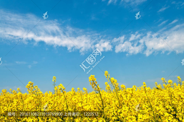 強(qiáng)奸和天空