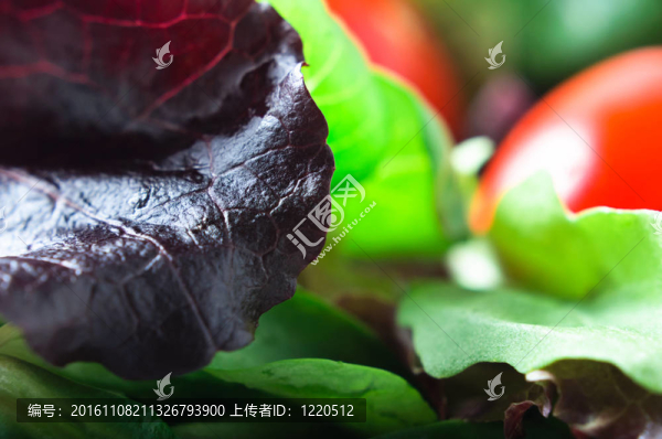 紅生菜沙拉