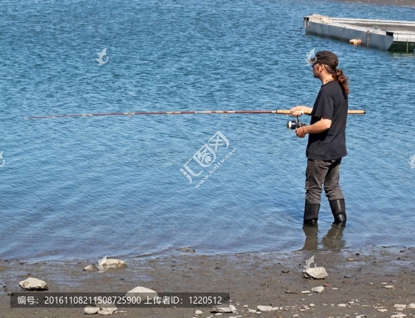 在瀉湖里的鮭魚