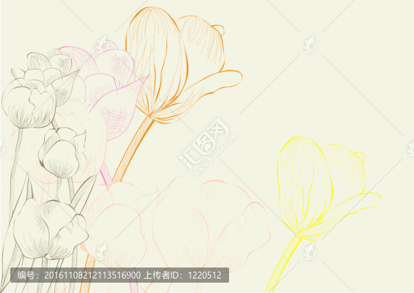 裝飾背景與郁金香花