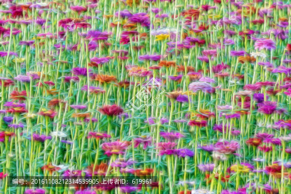 花叢花海