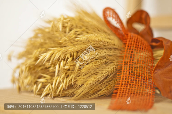 束谷物