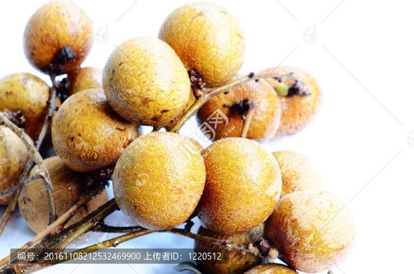 龍眼果實(shí)