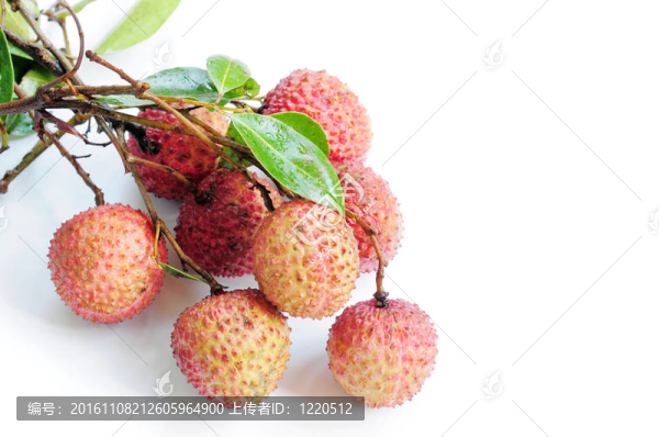 Lichi的果實(shí)