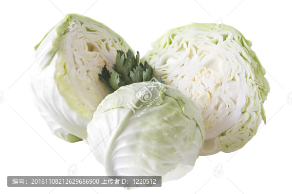 白菜