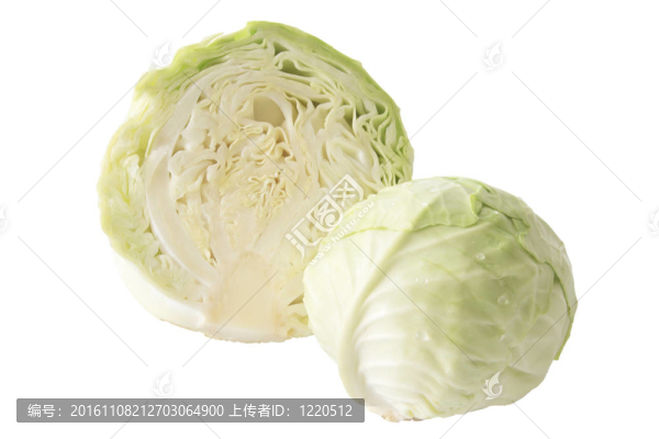 白菜