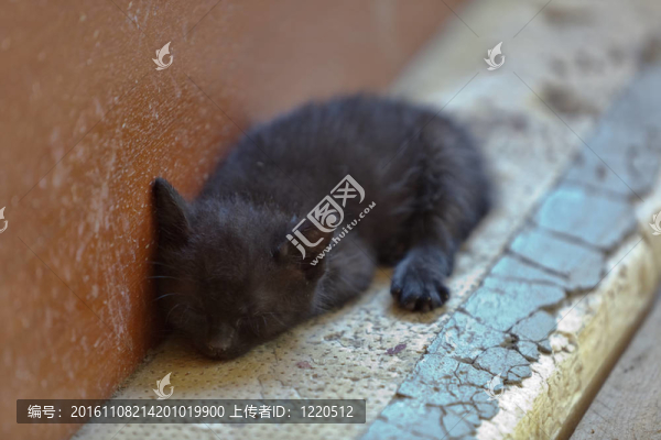 睡眠