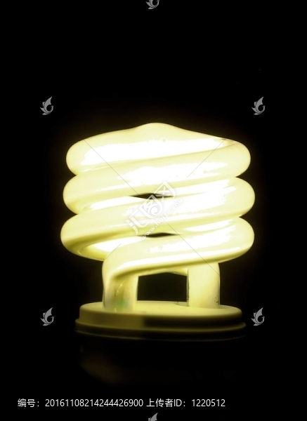 電燈泡