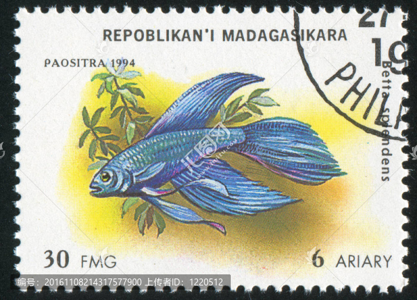魚