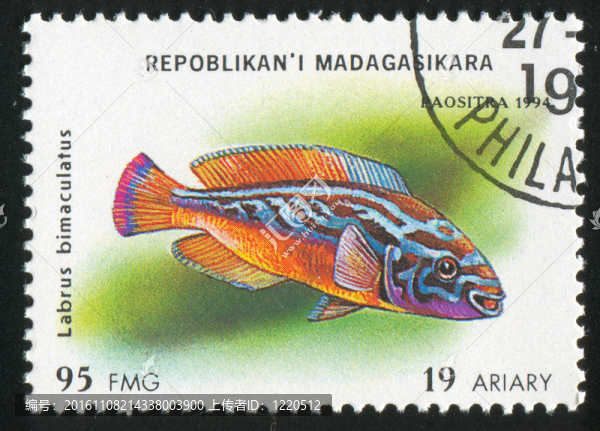 魚