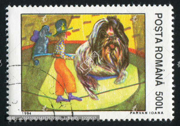 馬戲團(tuán)