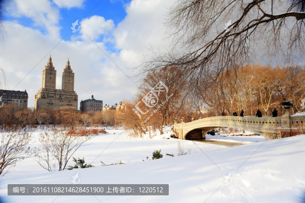 紐約市冬季中央公園全景