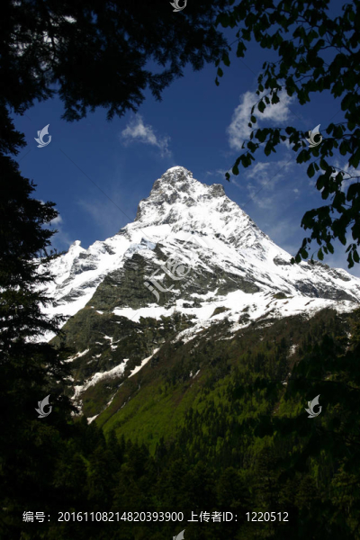 貝拉米夏季山峰