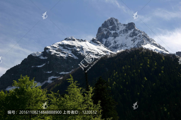貝拉米夏季山峰