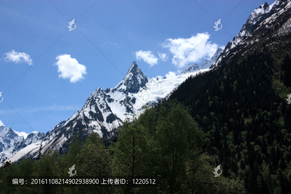 貝拉米夏季山峰