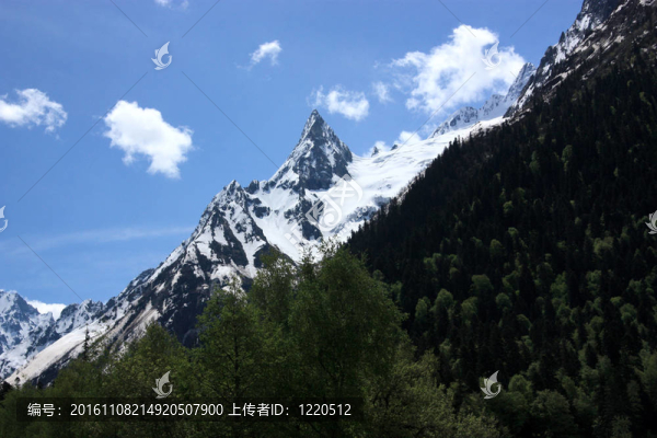 貝拉米夏季山峰