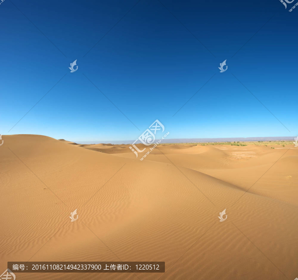 雄偉的沙丘景觀