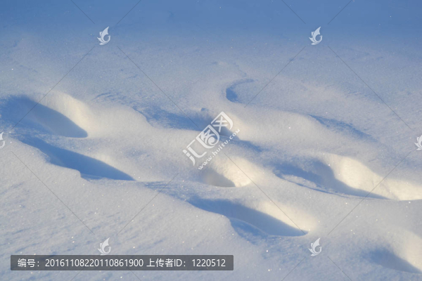 新鮮雪的照片