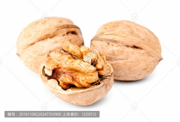 白底上的核桃