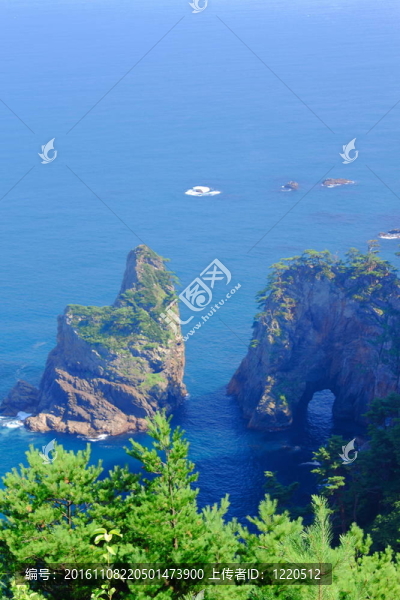 kitayamazaki夏天