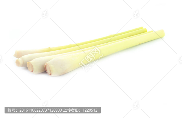 在白色背景的新鮮檸檬