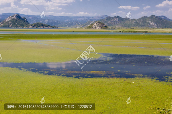 黑山skadarsko湖；