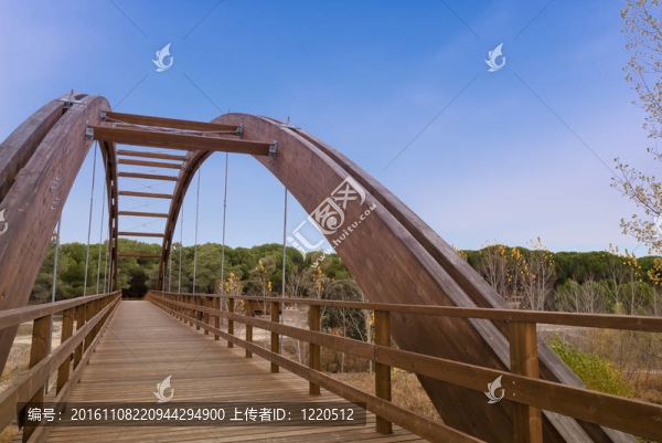森林拱型木橋