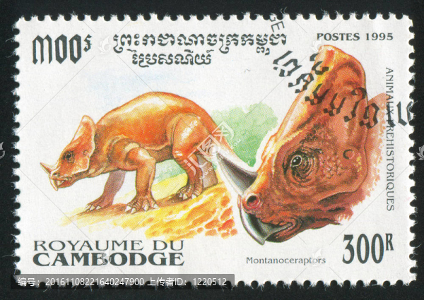 montanoceraptors