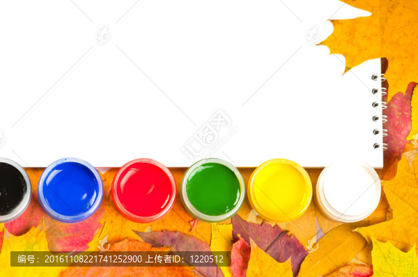 帶有樹葉的油漆和刷子的相冊