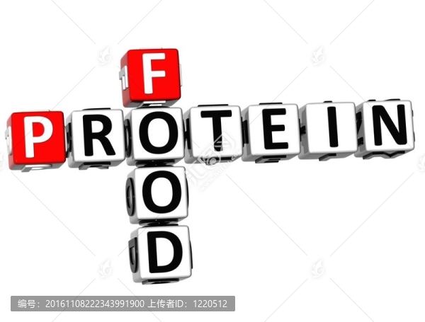 3D蛋白食物填字