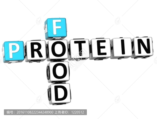 3D蛋白食物填字